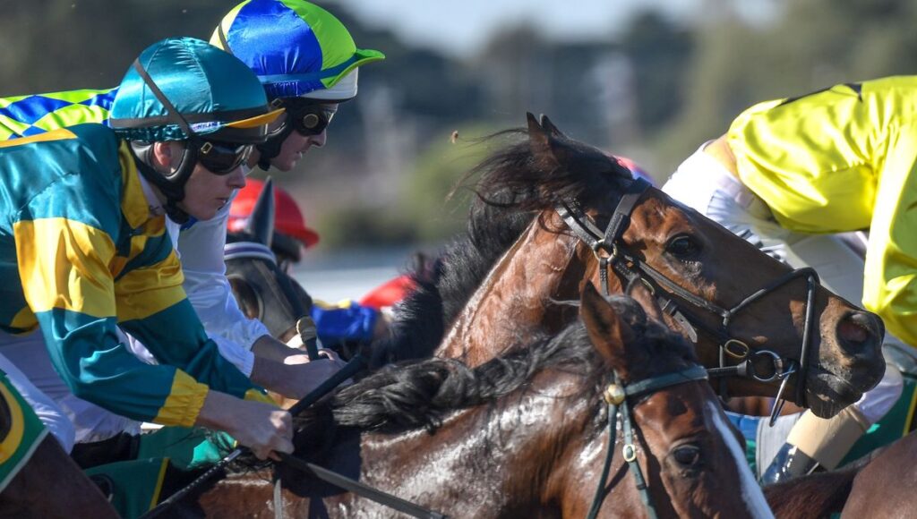 Pronostic Hervé Fortin